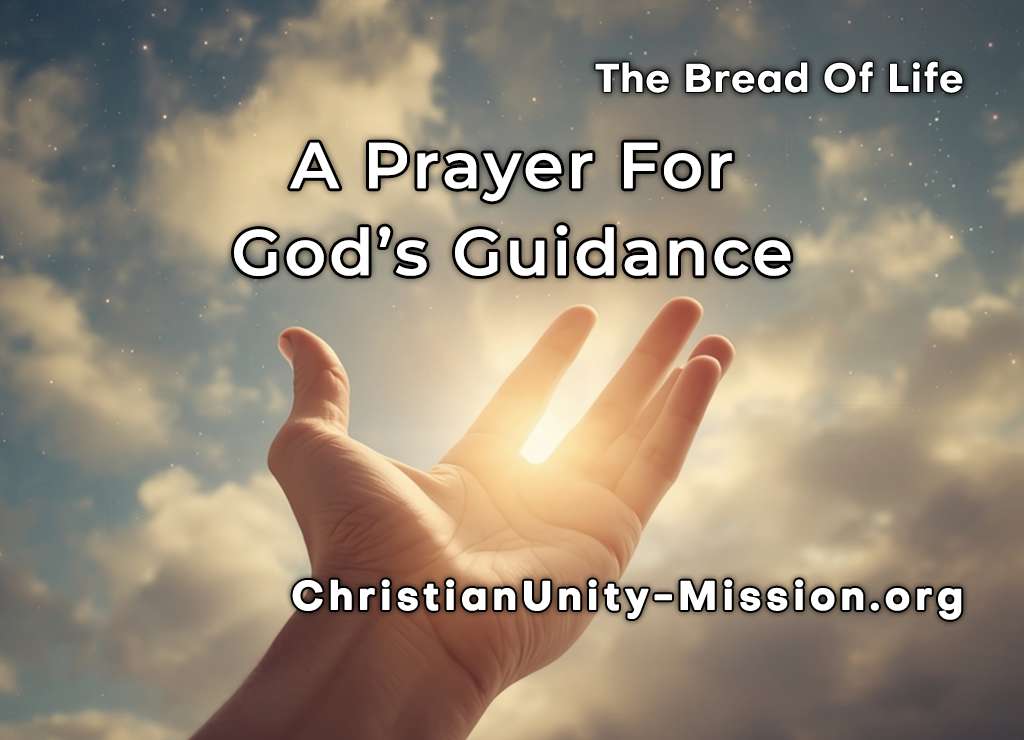 Video Image