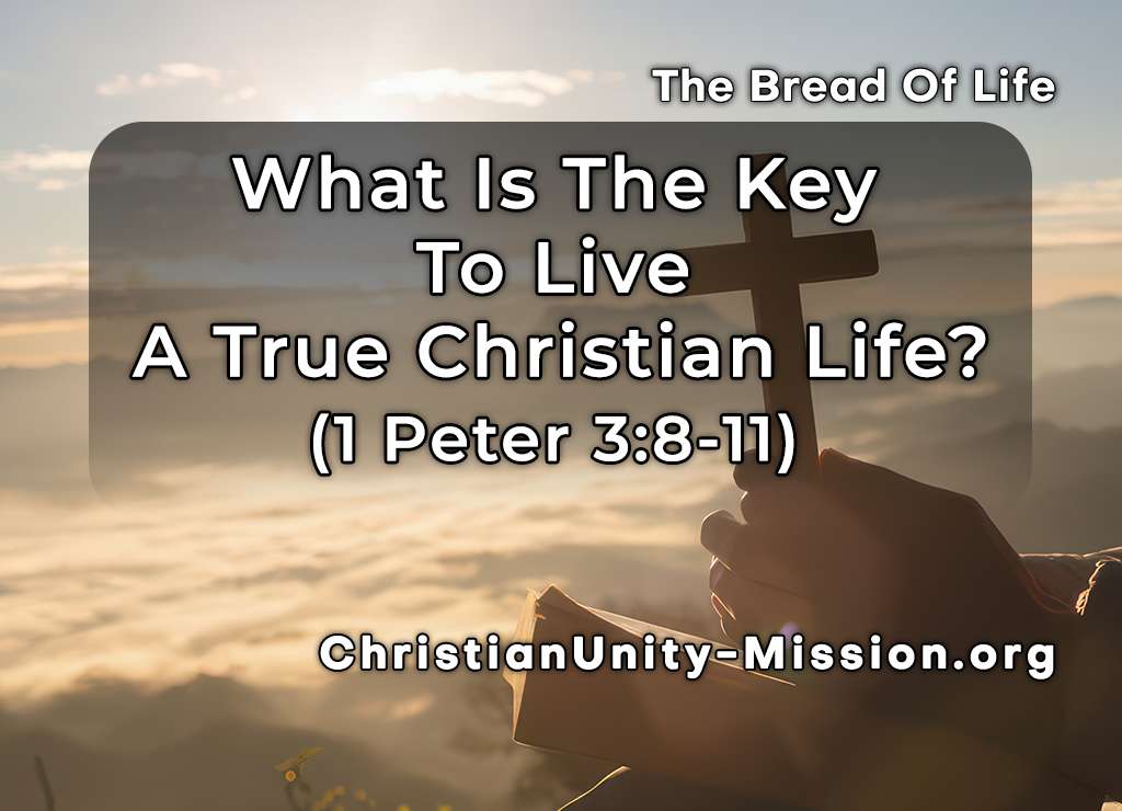 Video Image