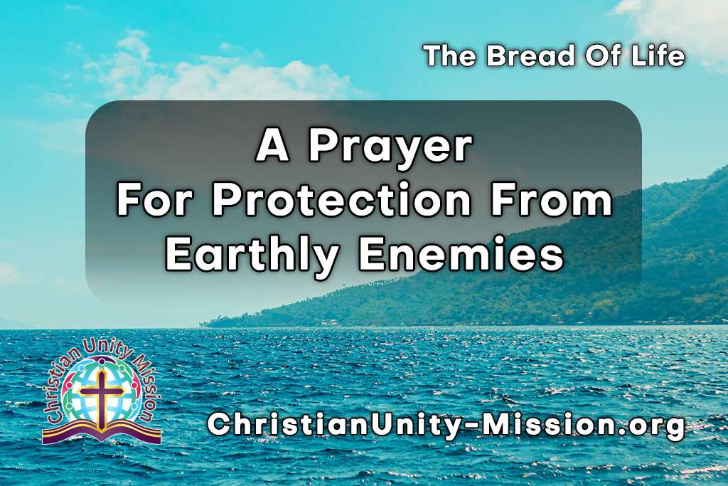 Video Image