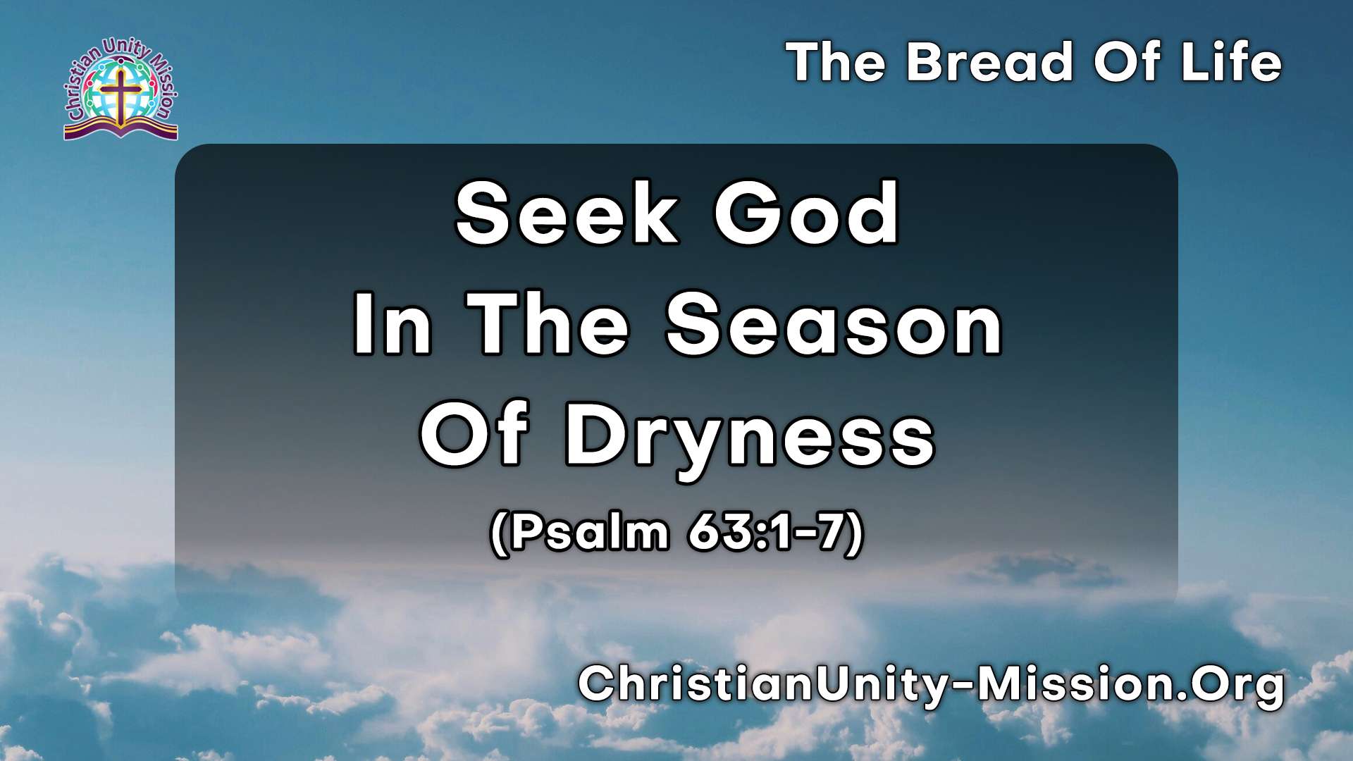 Video Image