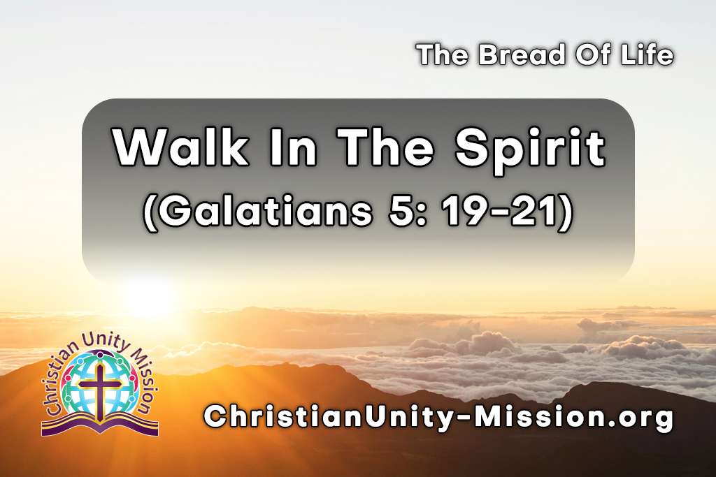 Video Image