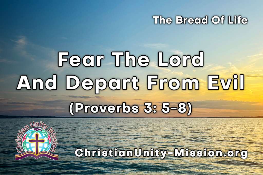 Video Image