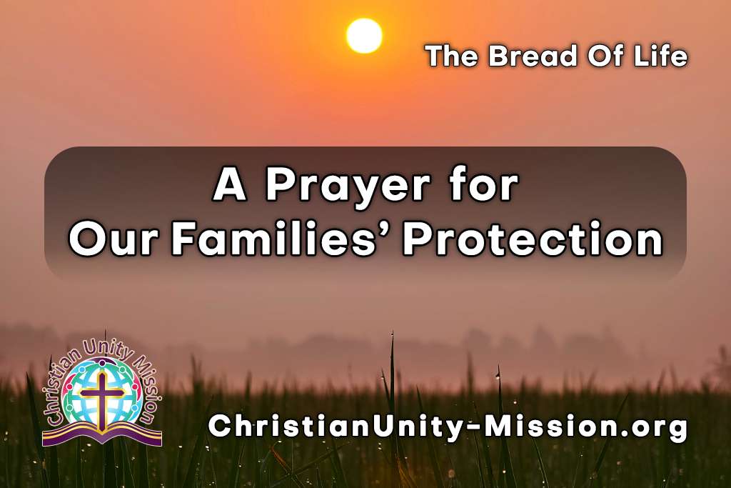 Video Image