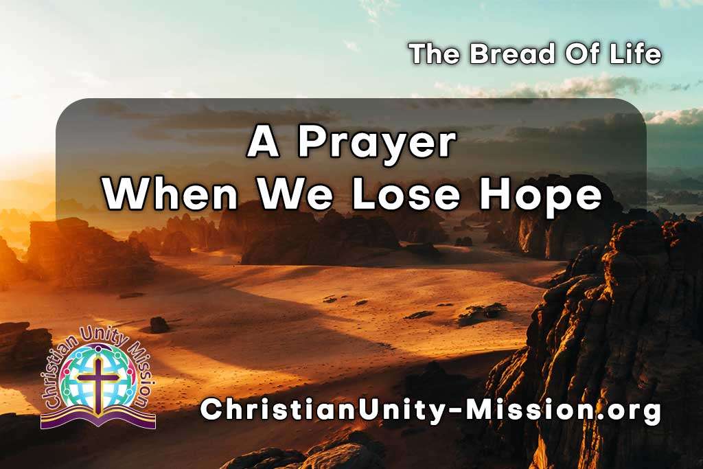 Video Image
