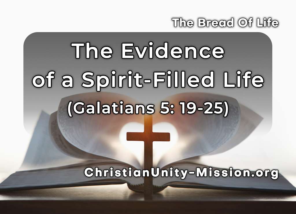 Video Image