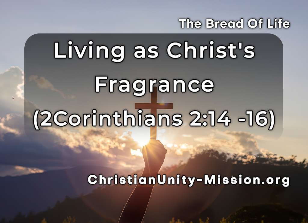 Video Image