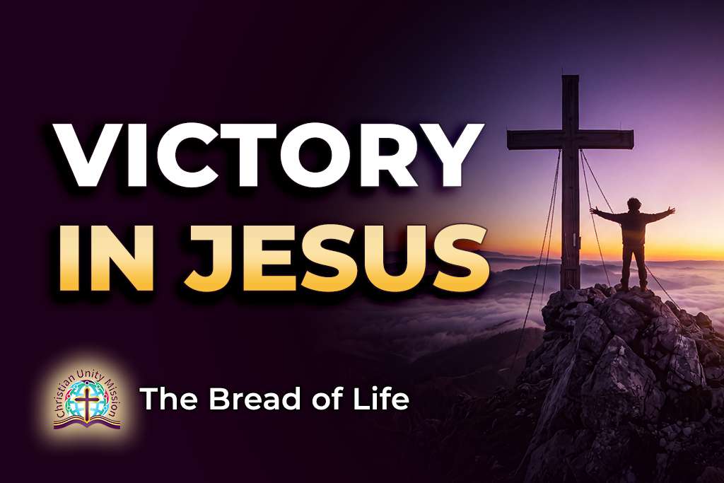 Video Image
