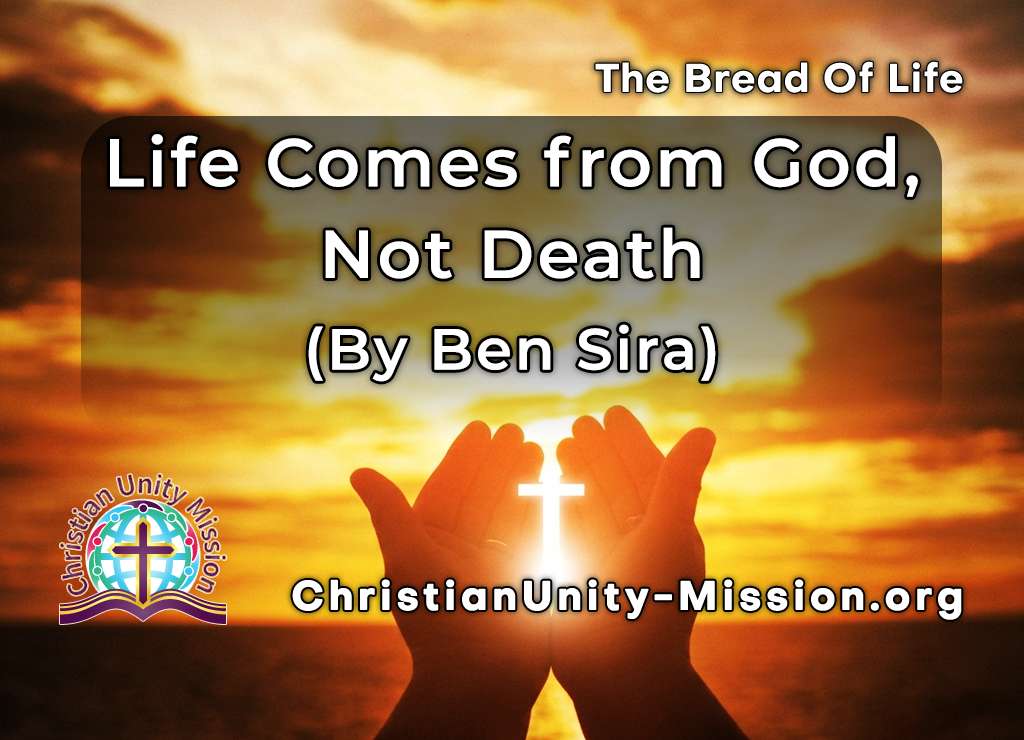 Video Image
