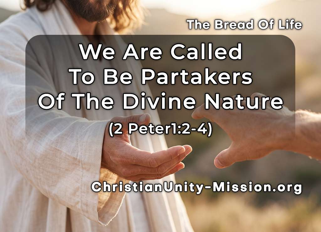 Video Image