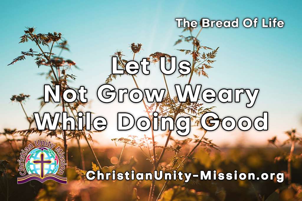 Video Image