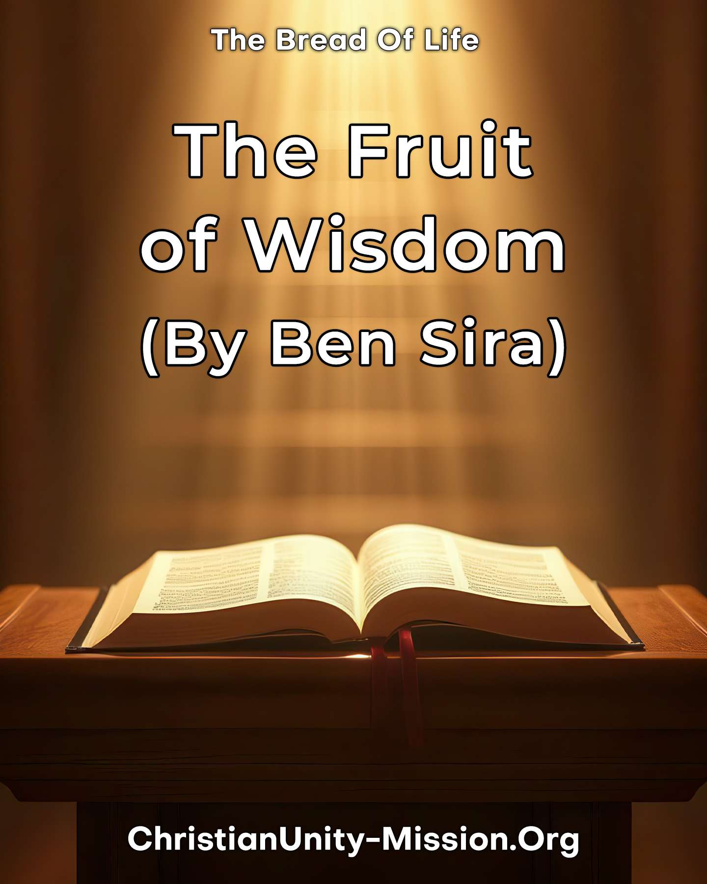 Video Image