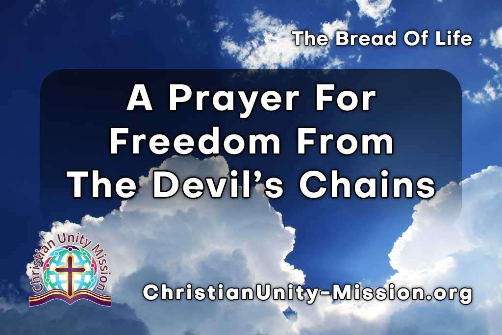 Video Image
