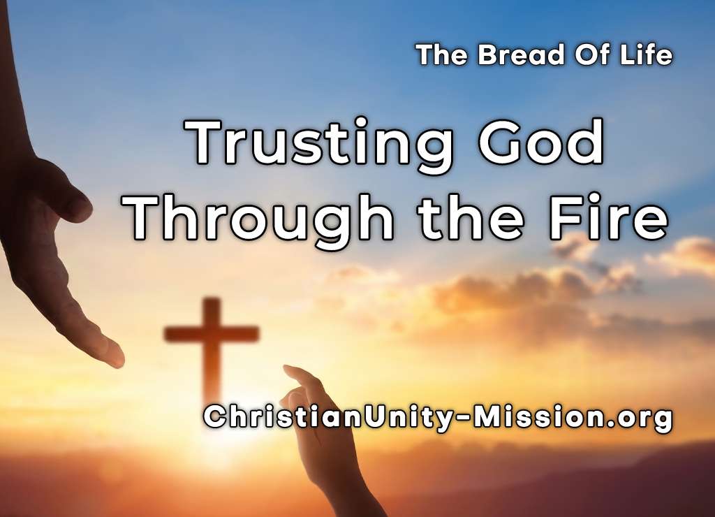 Video Image