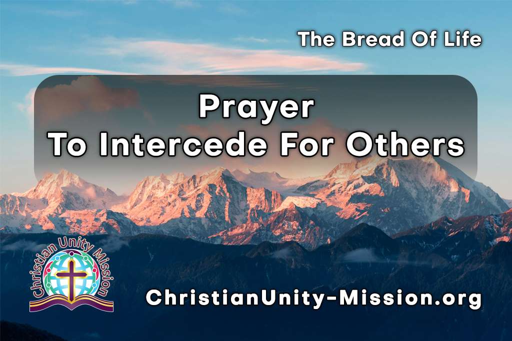 Video Image