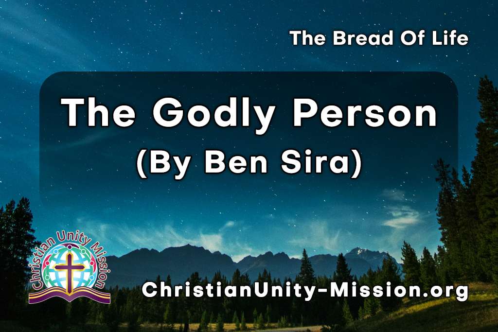 Video Image