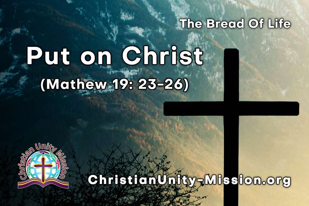 Video Image