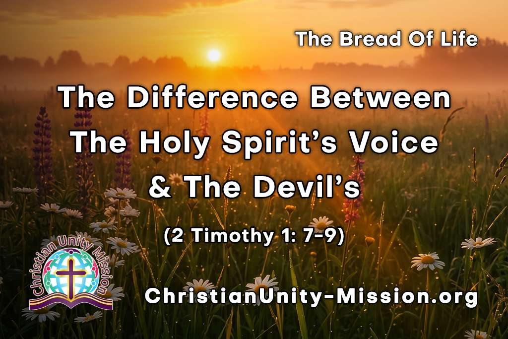 Video Image