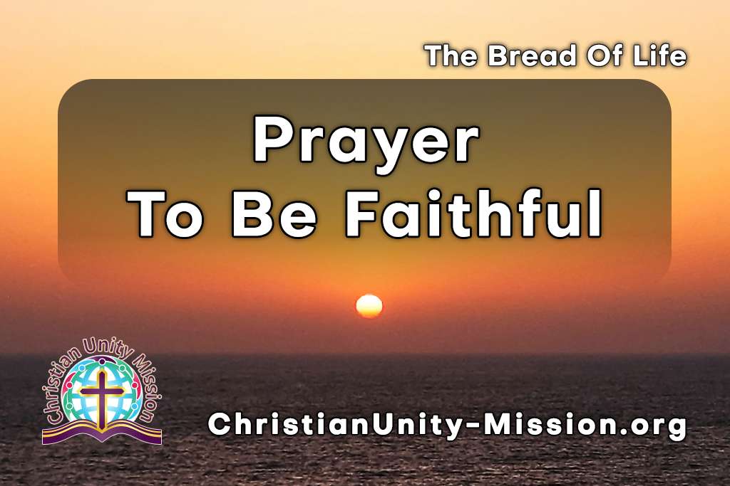 Video Image