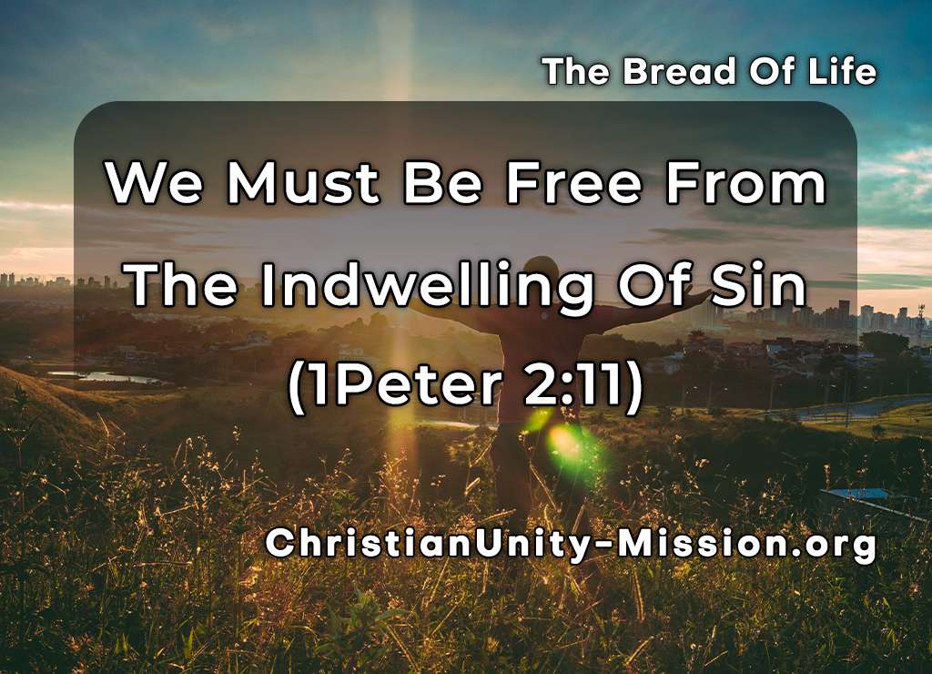 Video Image