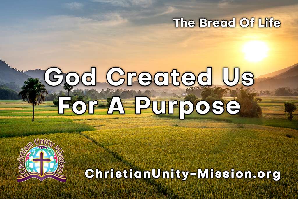 Video Image