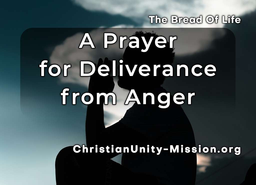 Video Image