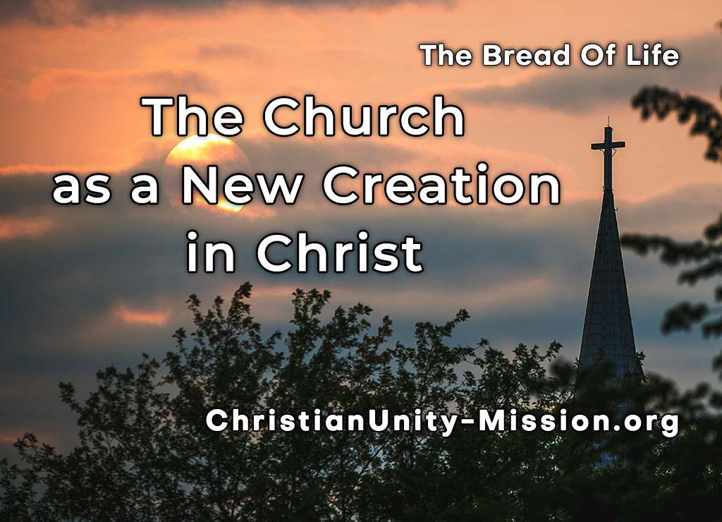 Video Image