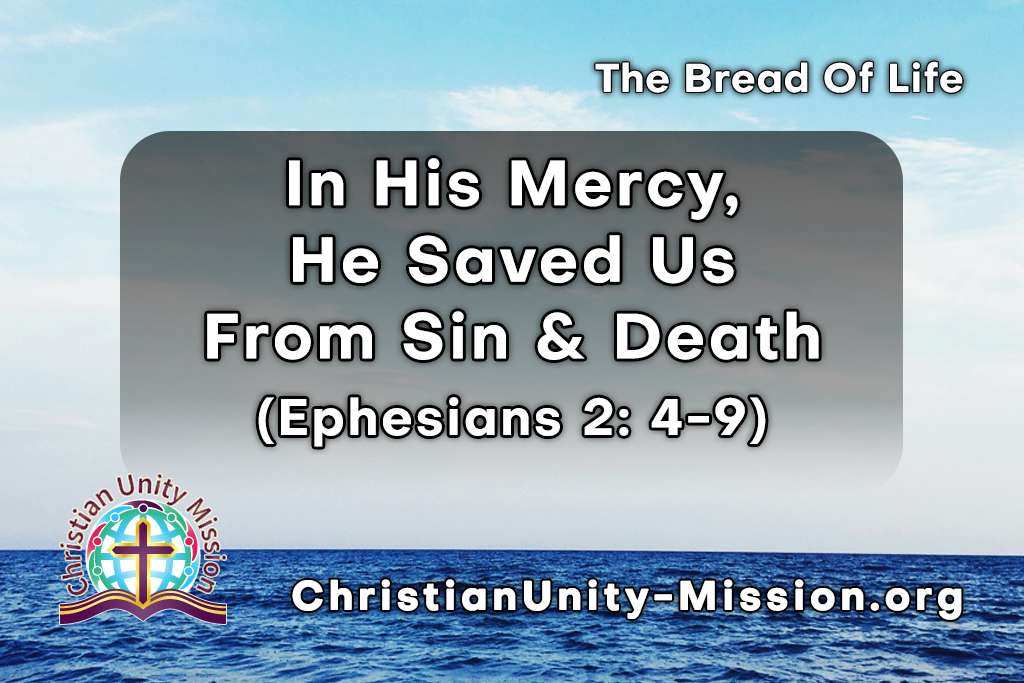 Video Image