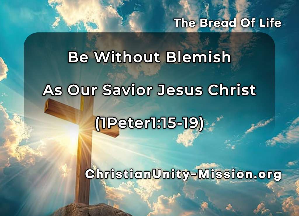 Video Image