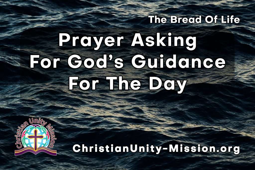 Video Image
