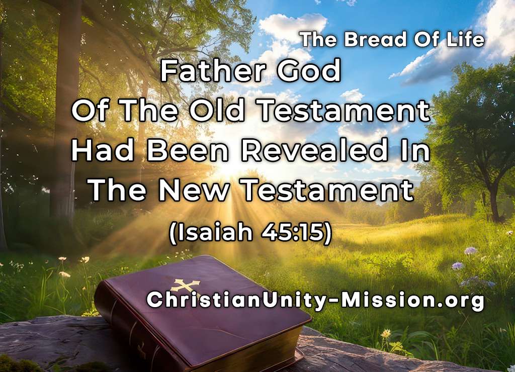 Video Image