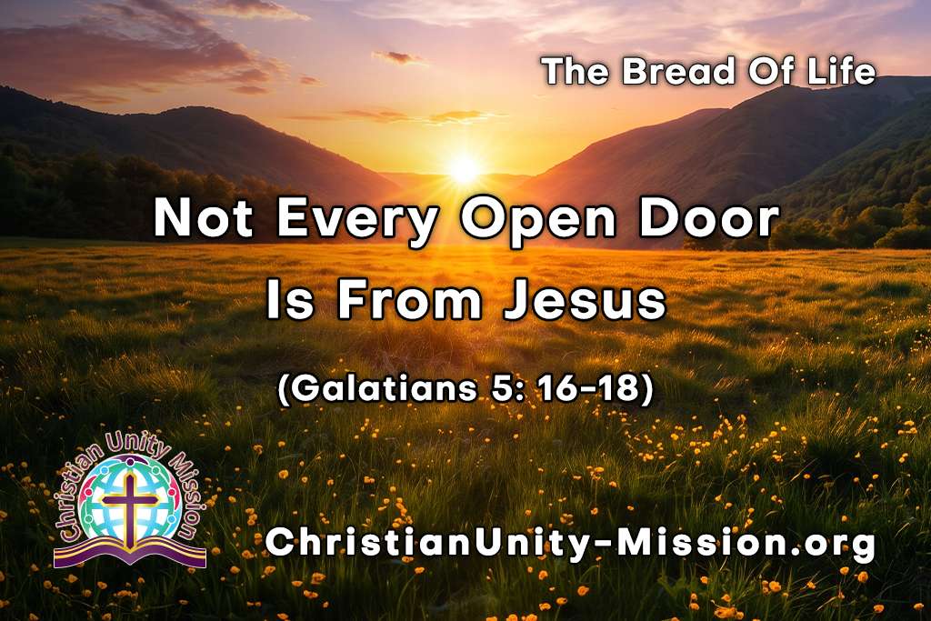 Video Image