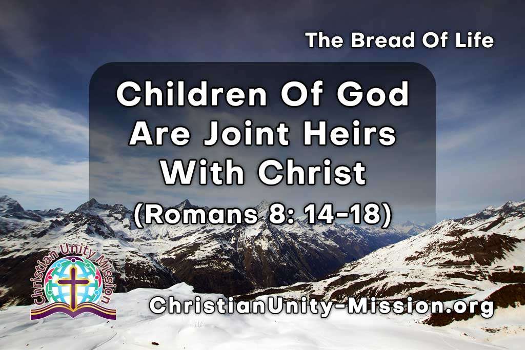 Video Image