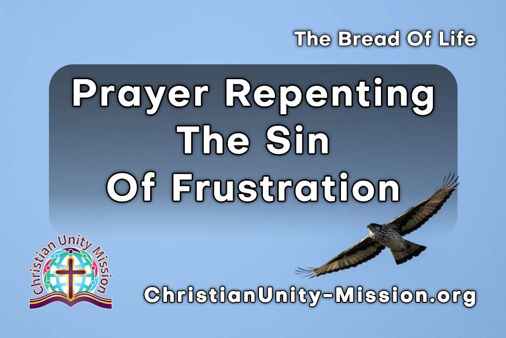Video Image