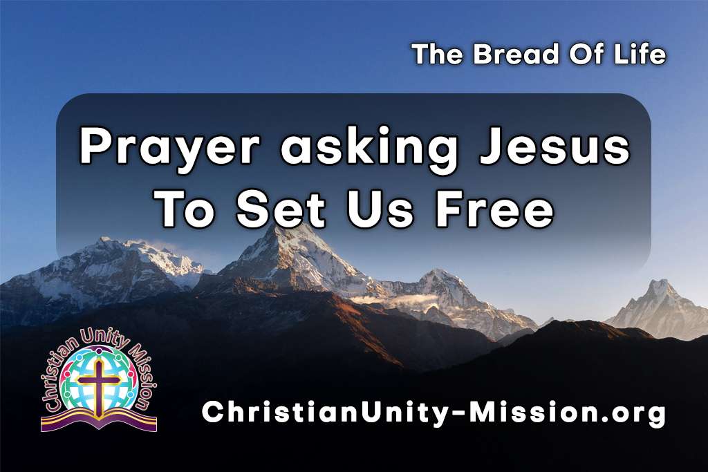 Video Image