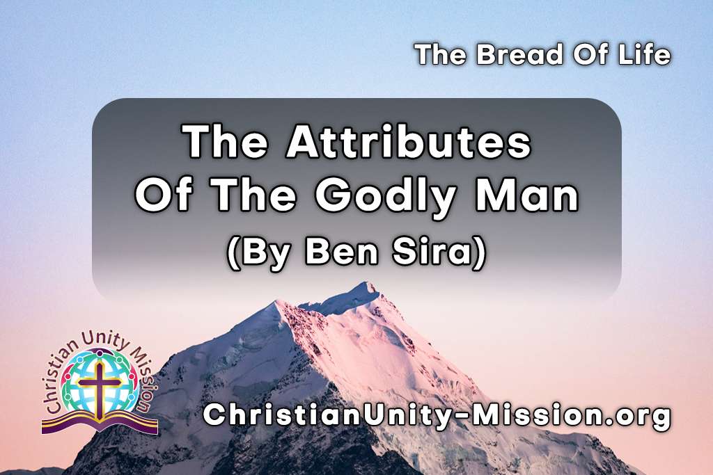 Video Image