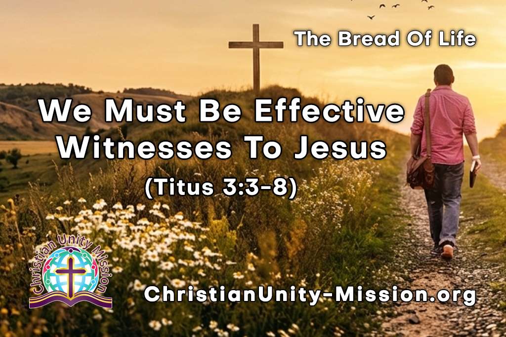 Video Image