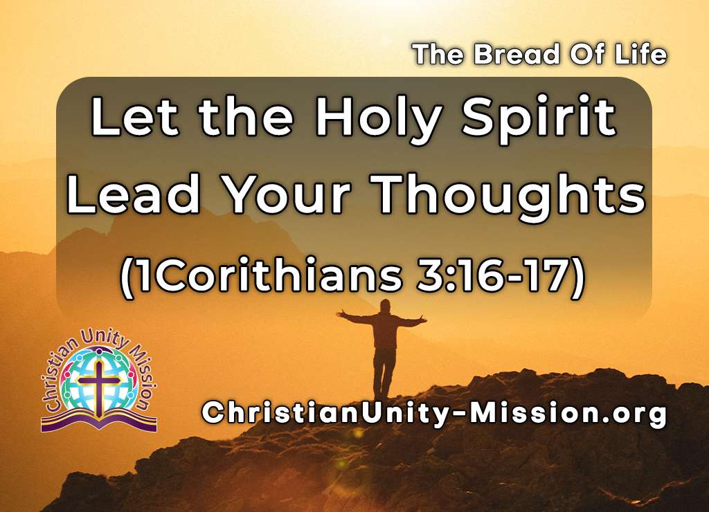 Video Image