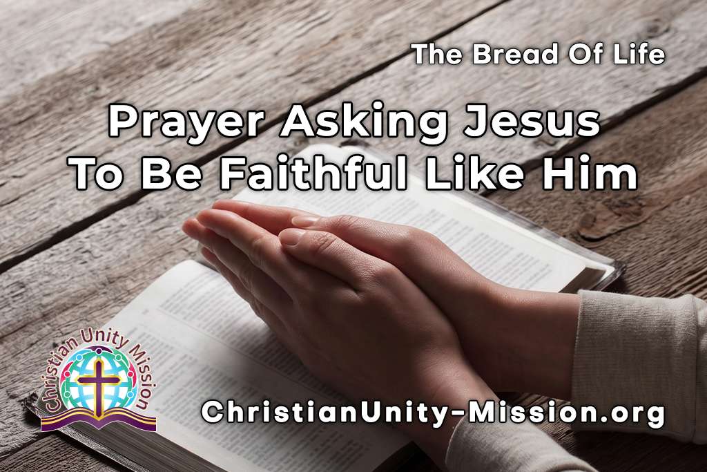 Video Image
