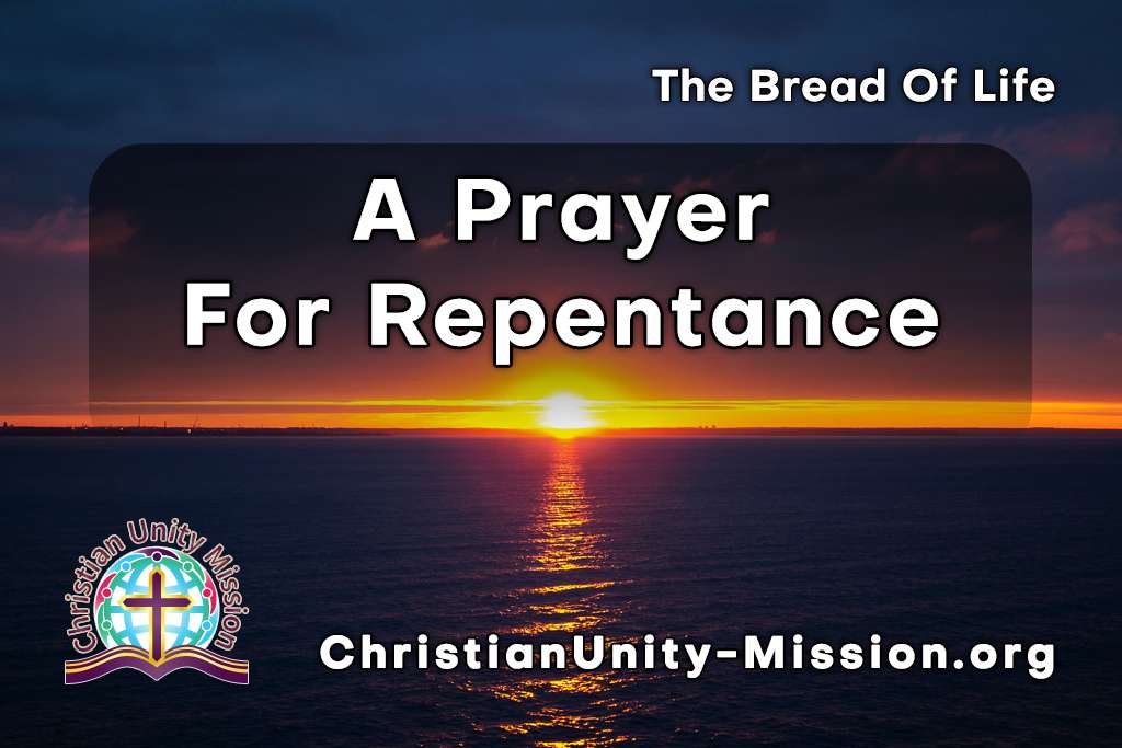 Video Image