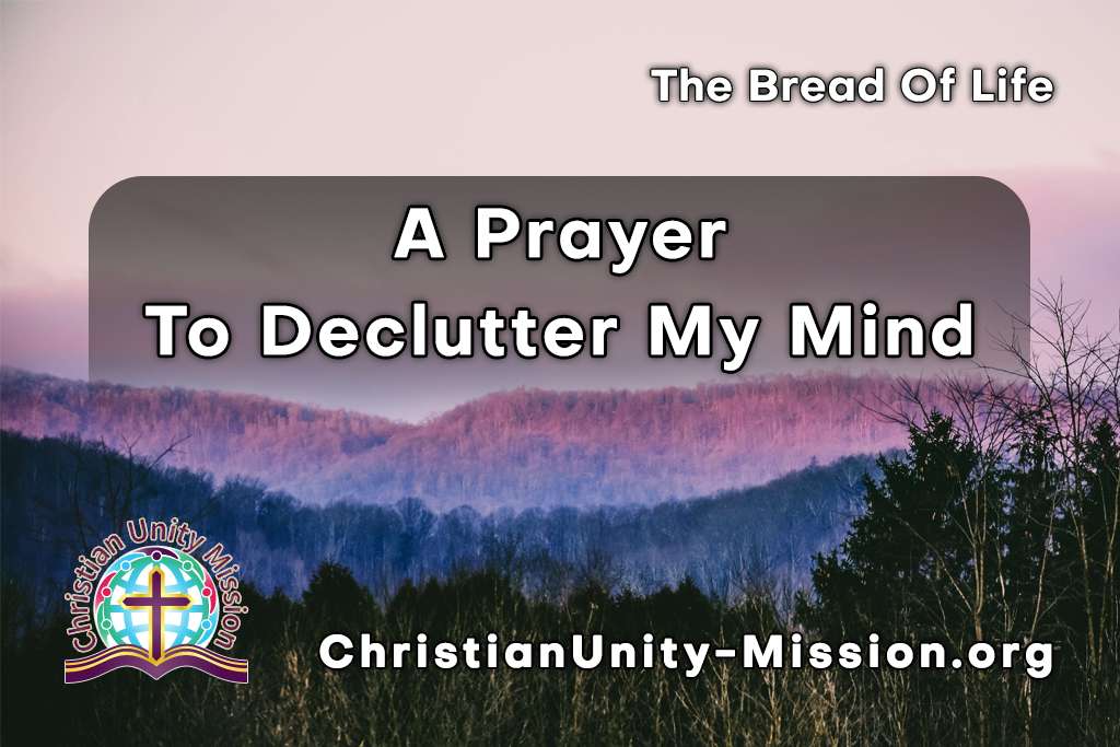 Video Image